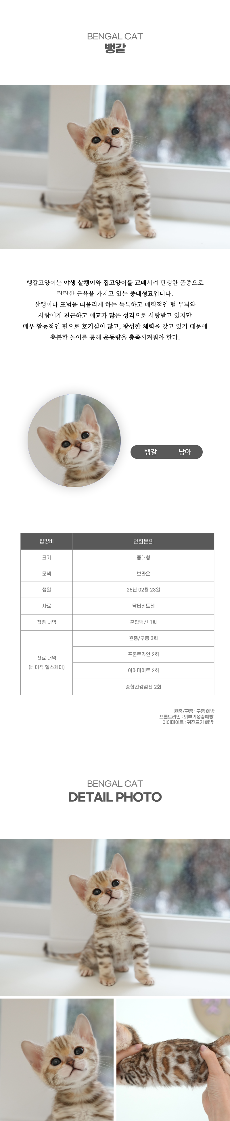 뱅갈_상세이미지_2